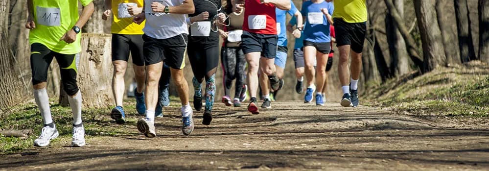 Maraton Beskid Niski: Wyzwanie dla biegaczy w górskim raju