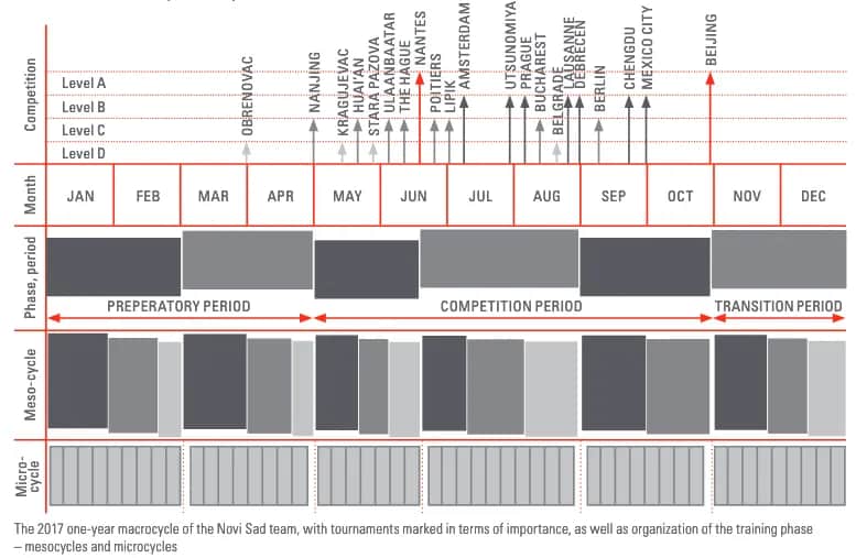Kompleksowy roczny plan treningowy w koszykówce: od A do Z