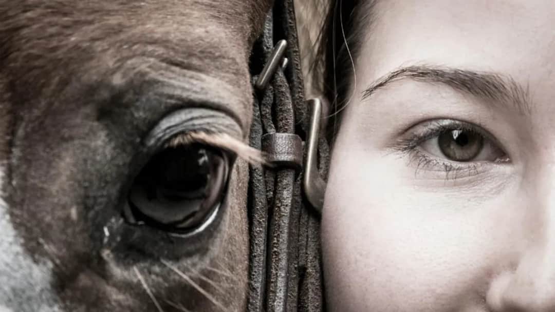 Człowiek na koniu: Historia relacji, która zmieniła świat