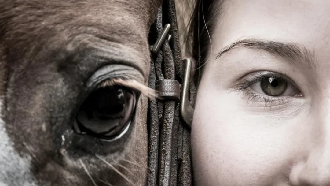 Człowiek na koniu: Historia relacji, która zmieniła świat